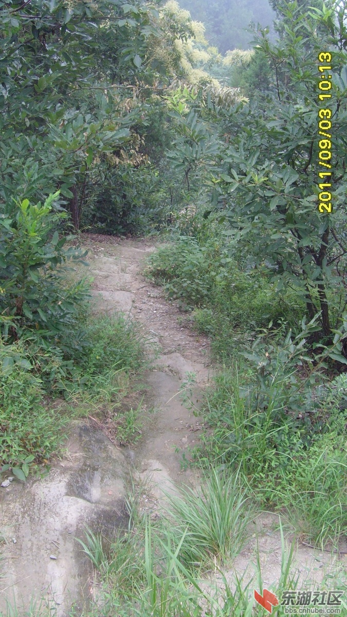 SNV33324.jpg