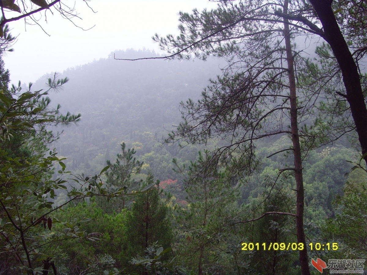 SNV33327.jpg