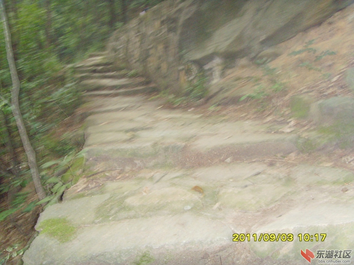 SNV33331.jpg