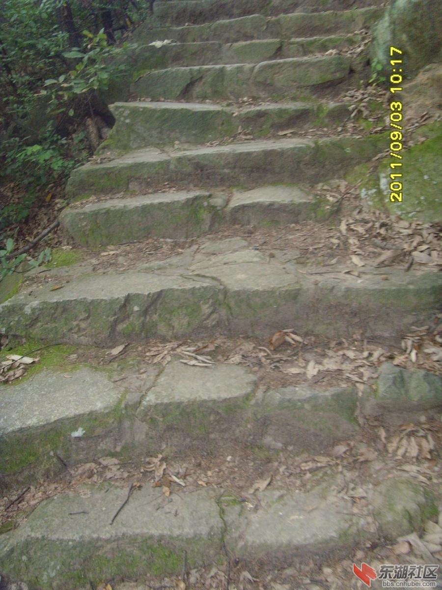 SNV33330.jpg