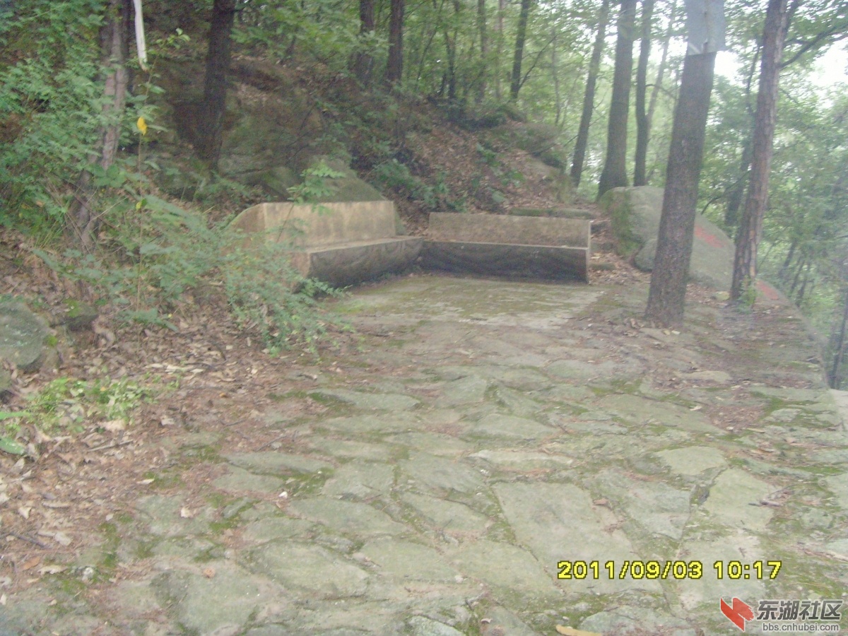 SNV33332.jpg