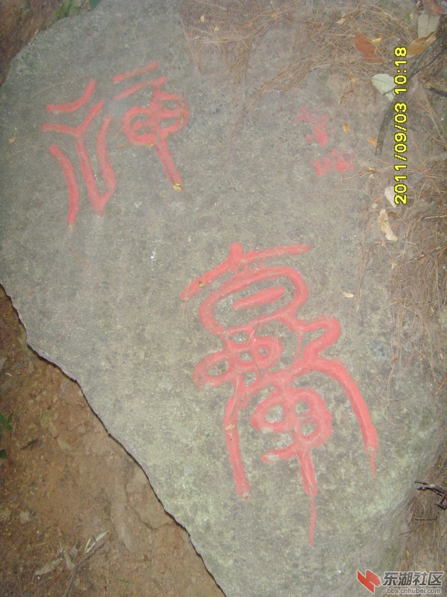 SNV33333.jpg