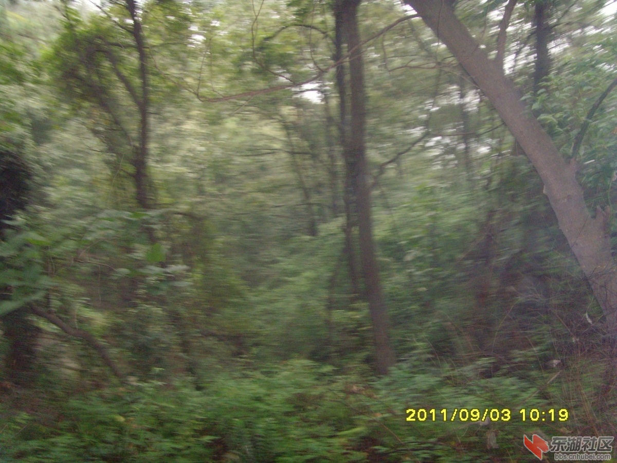 SNV33334.jpg