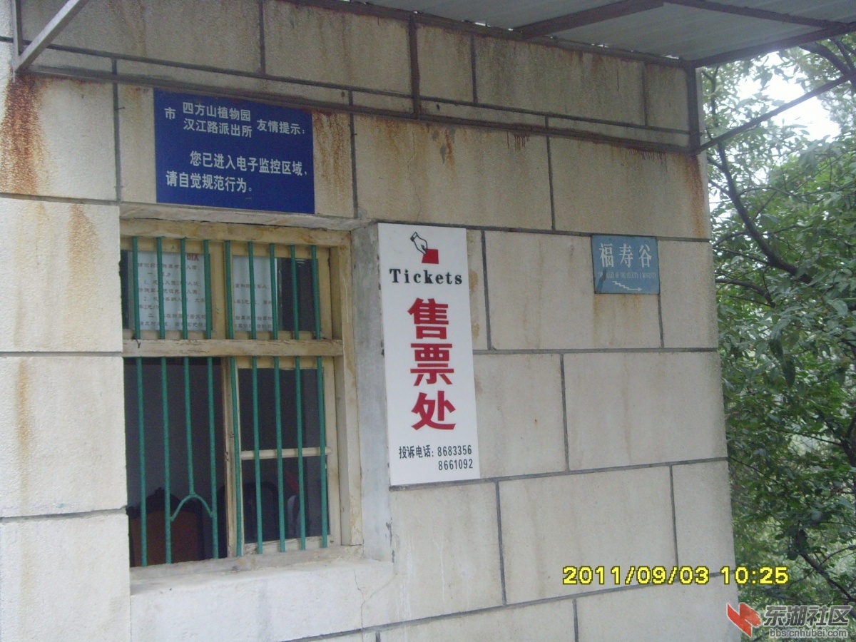 SNV33336.jpg
