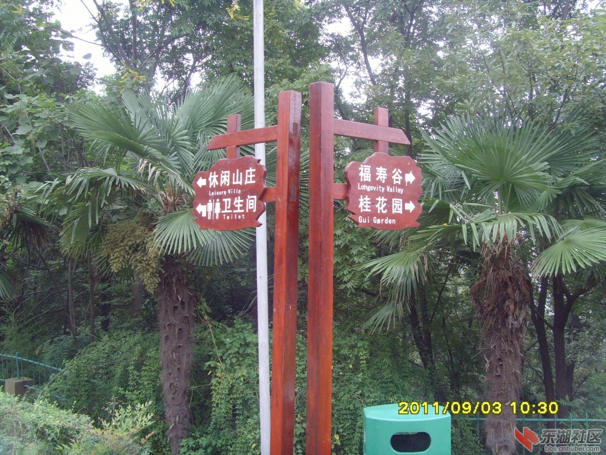 SNV33344.jpg