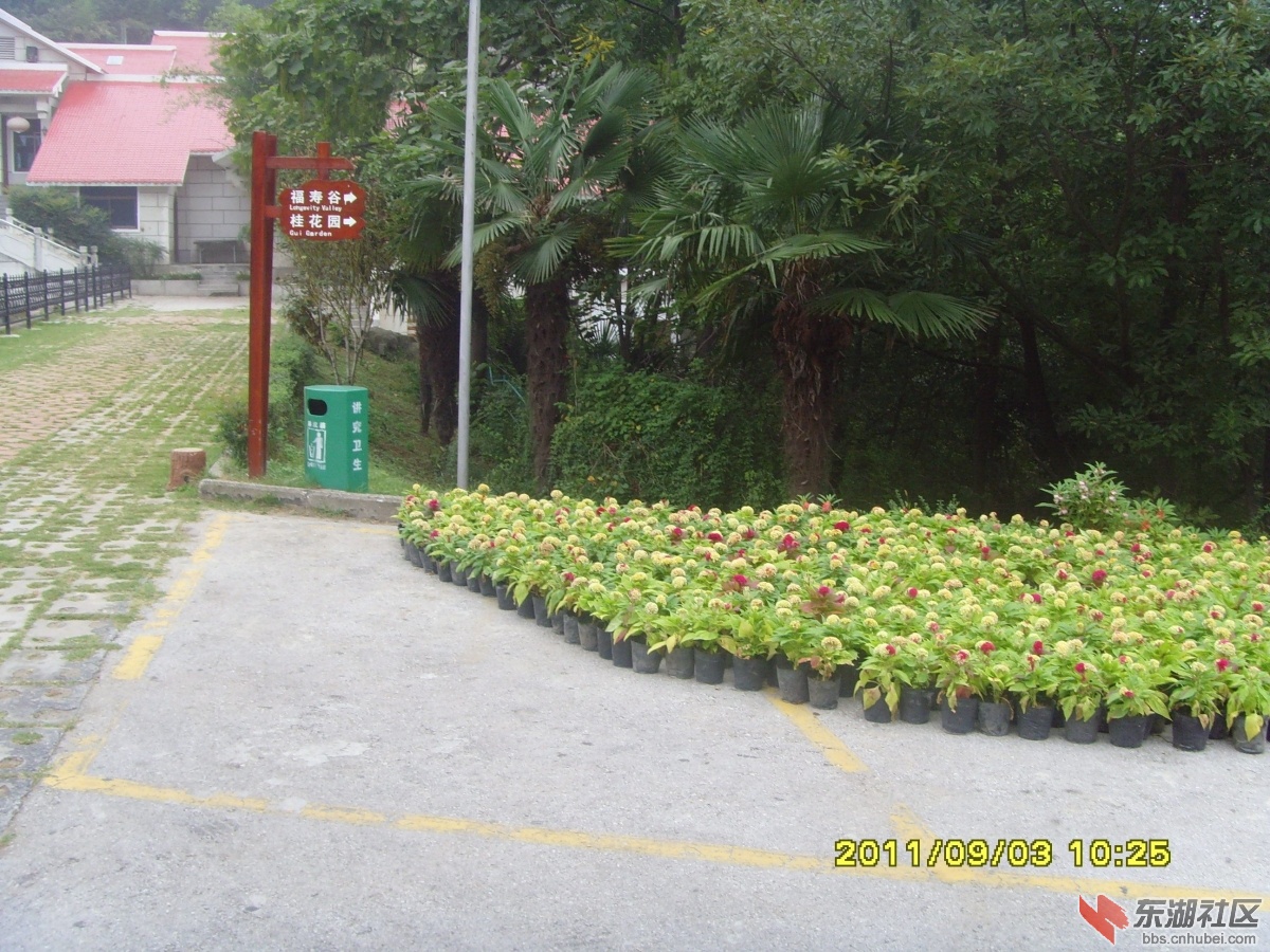 SNV33337.jpg
