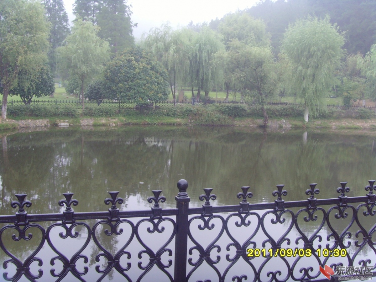 SNV33345.jpg