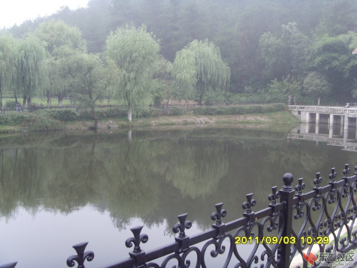 SNV33341.jpg