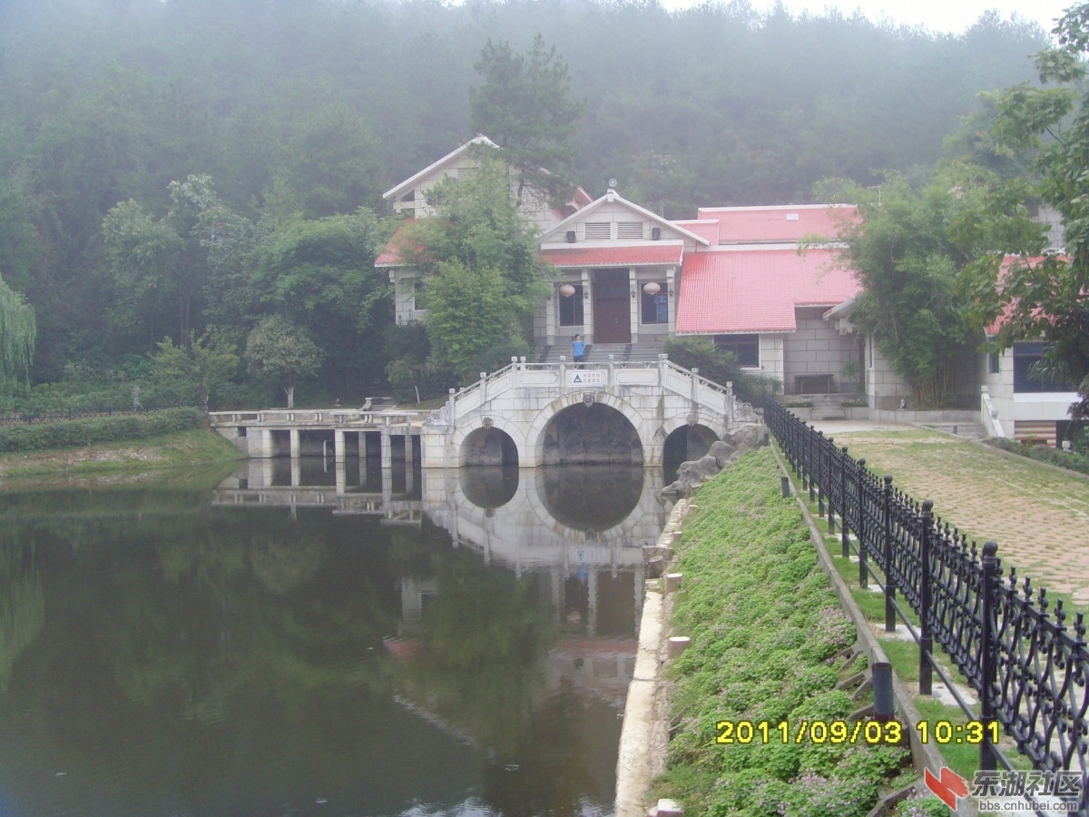 SNV33346.jpg