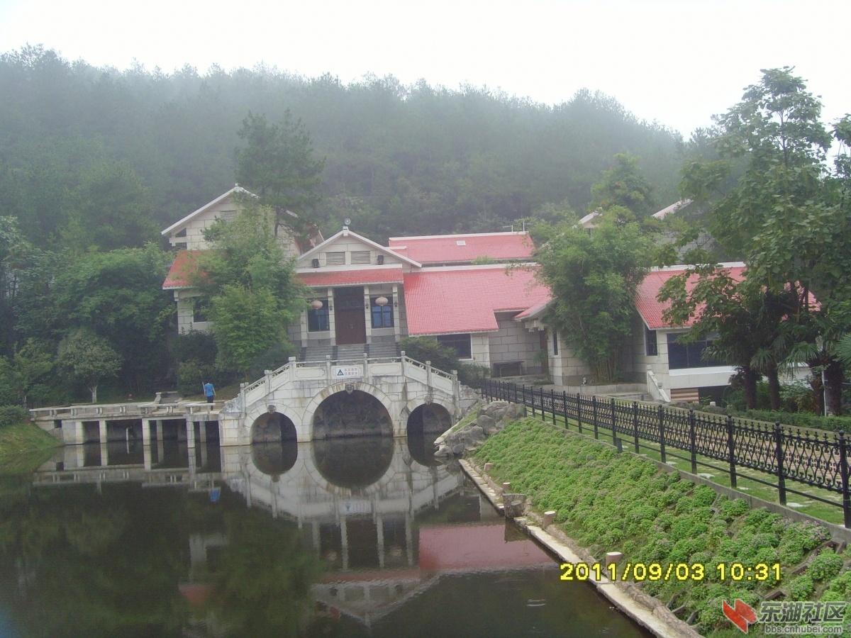 SNV33347.jpg