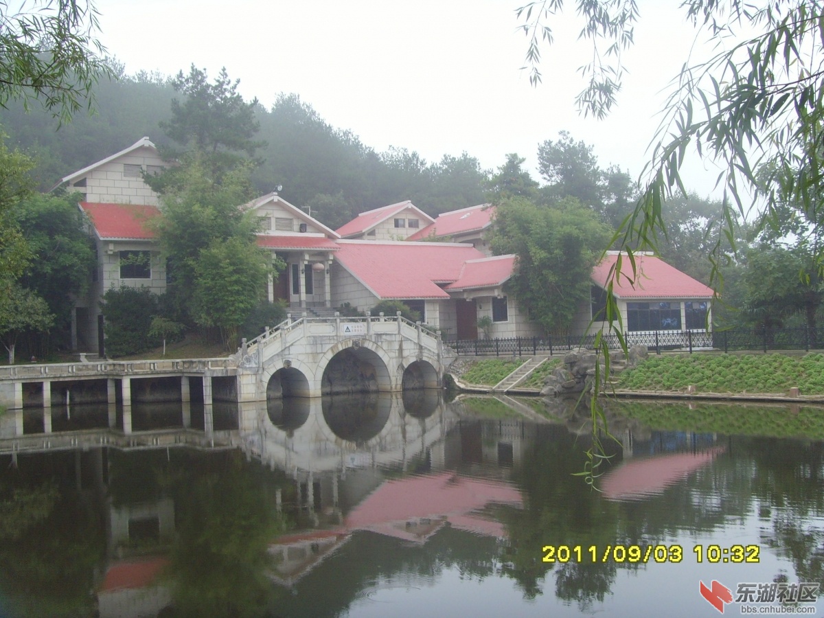 SNV33349.jpg