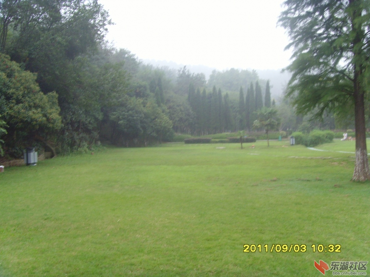 SNV33350.jpg