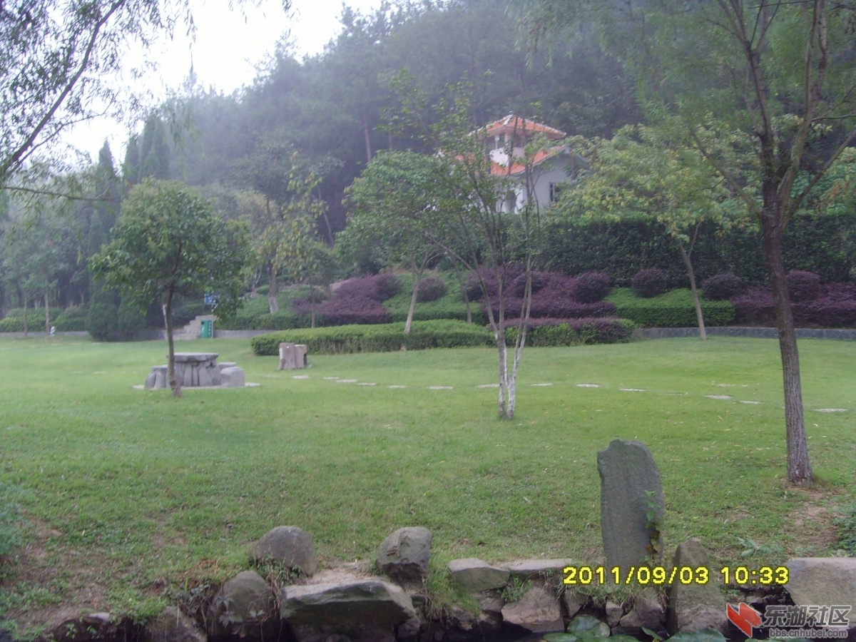 SNV33352.jpg
