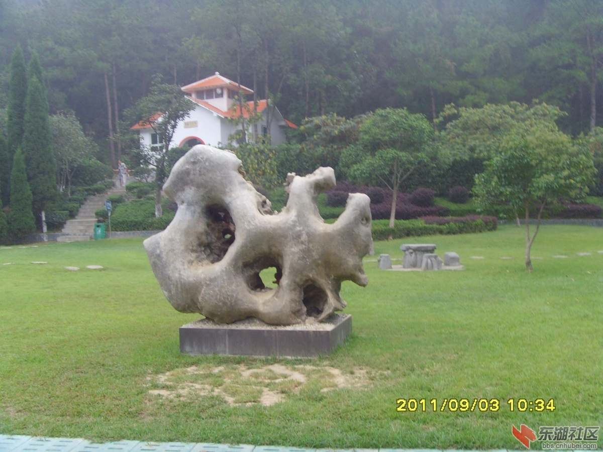 SNV33355.jpg
