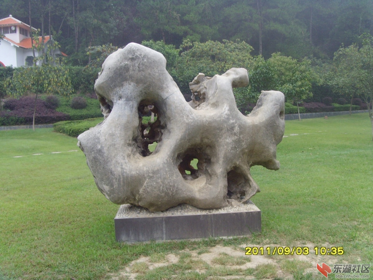 SNV33356.jpg