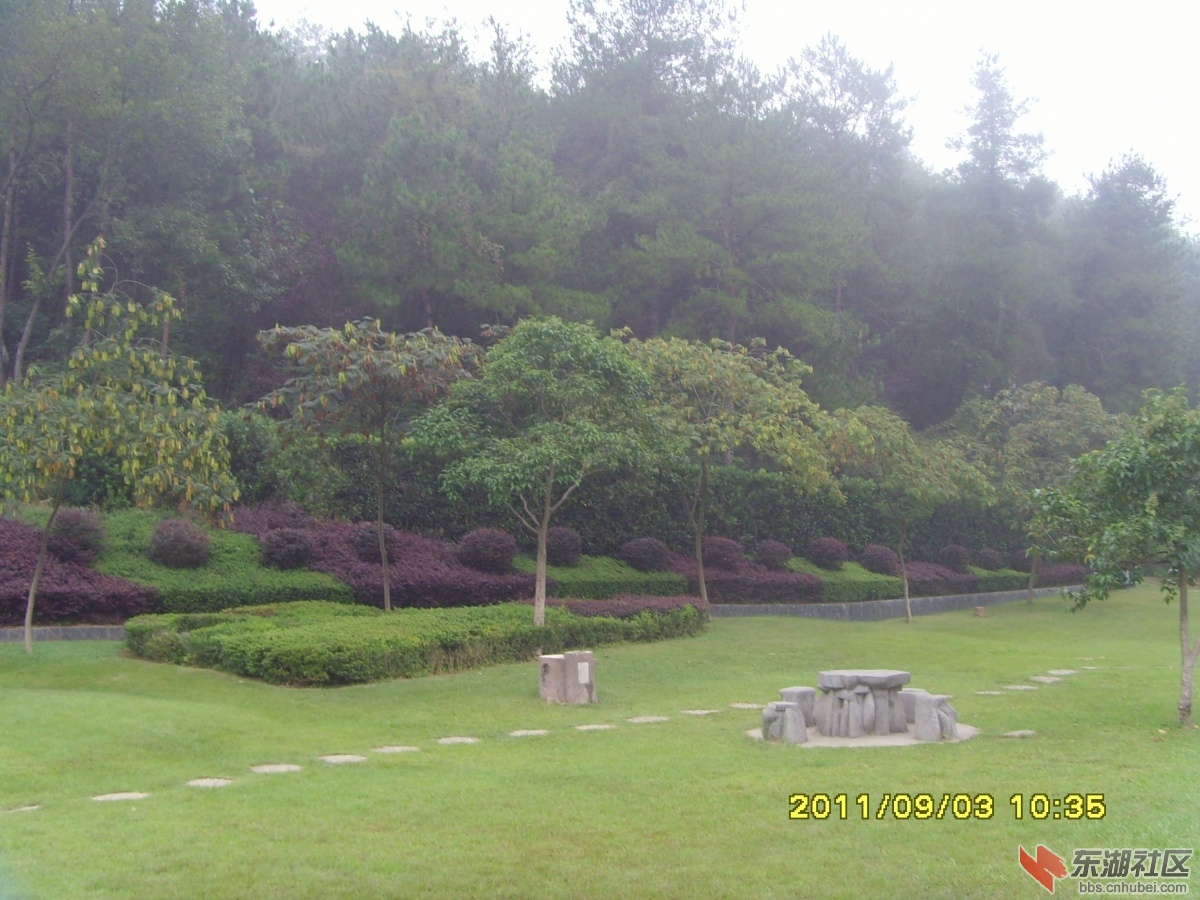 SNV33357.jpg