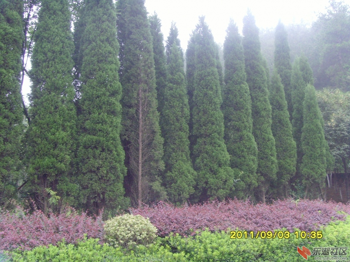 SNV33358.jpg