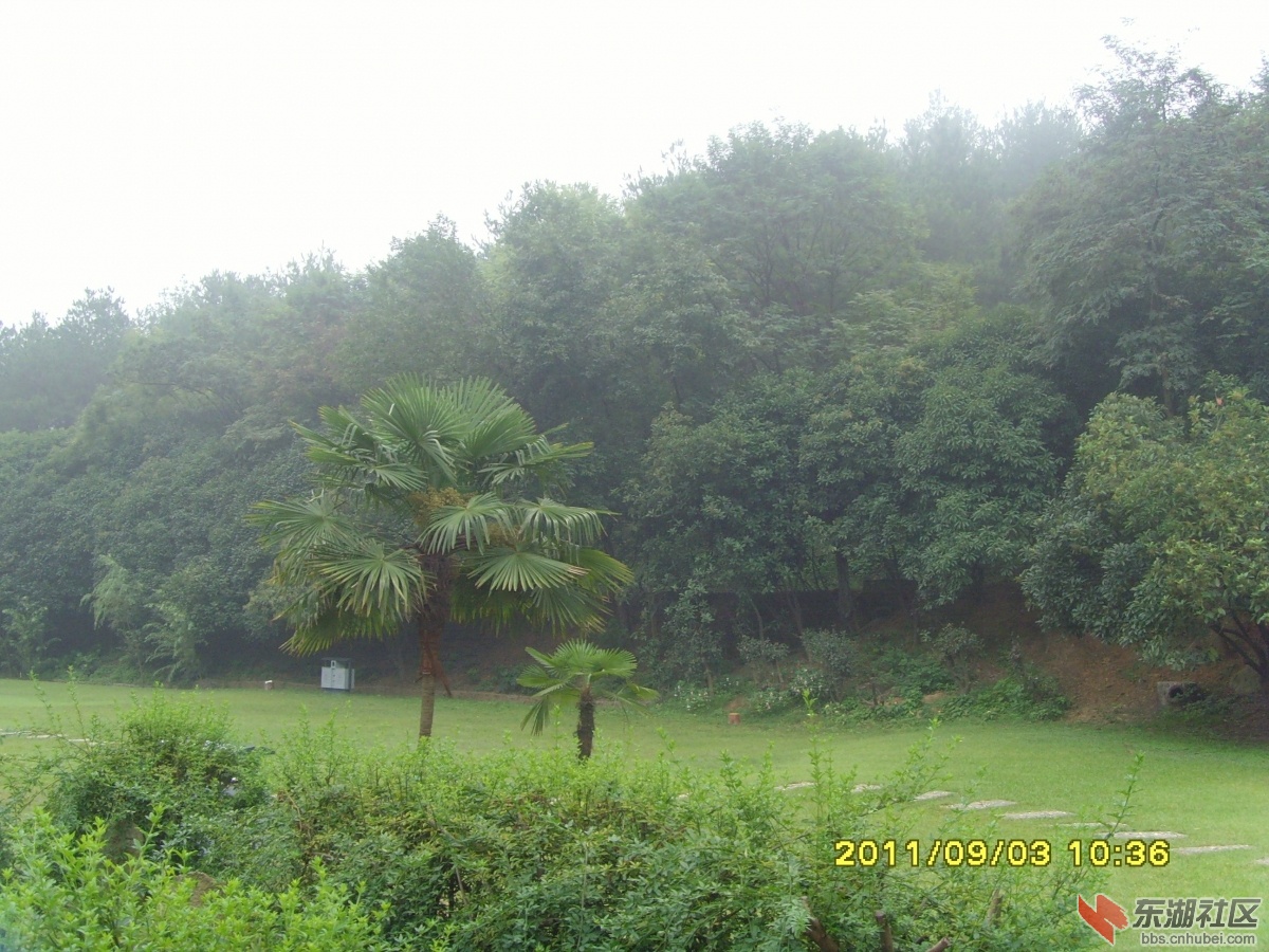 SNV33359.jpg