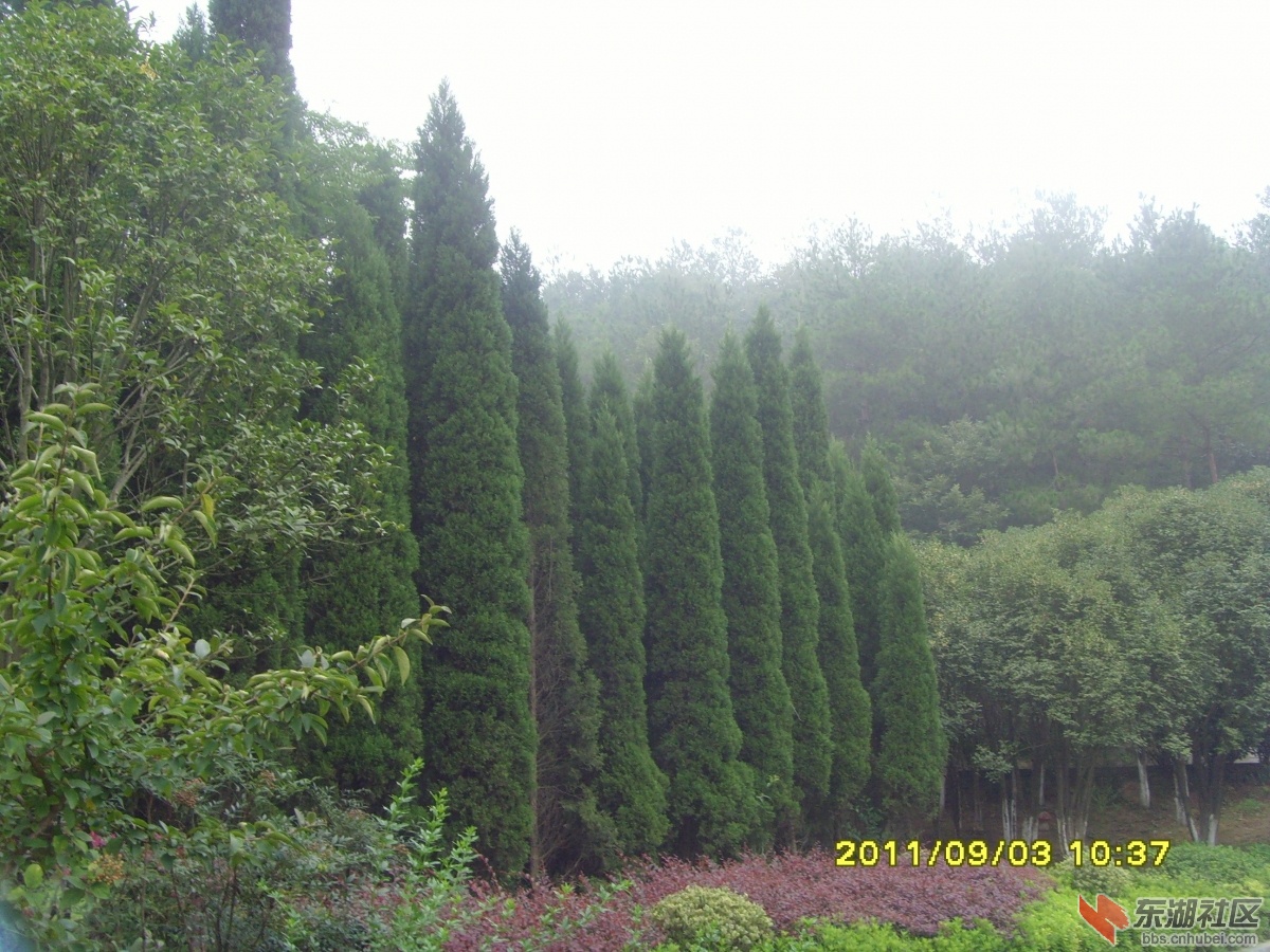 SNV33363.jpg