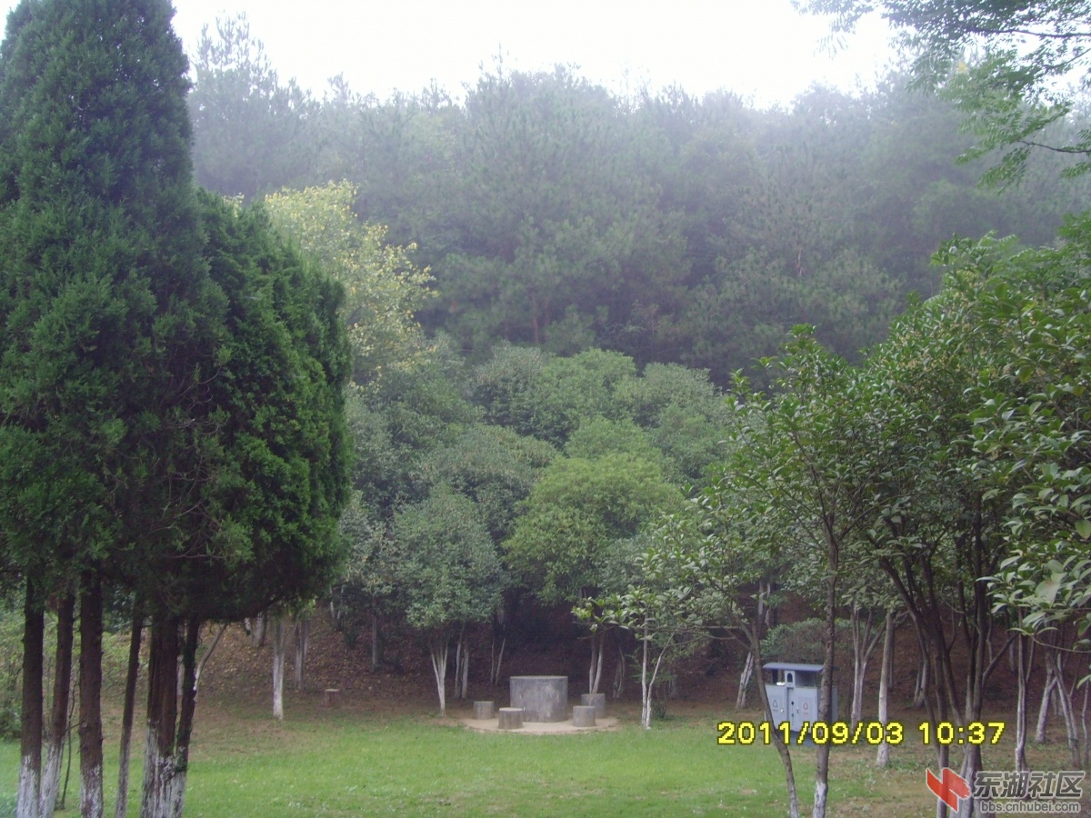 SNV33365.jpg