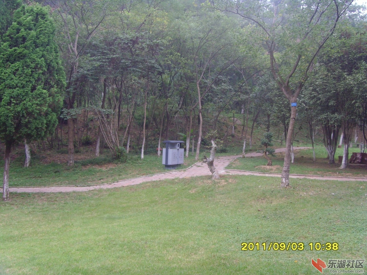 SNV33367.jpg
