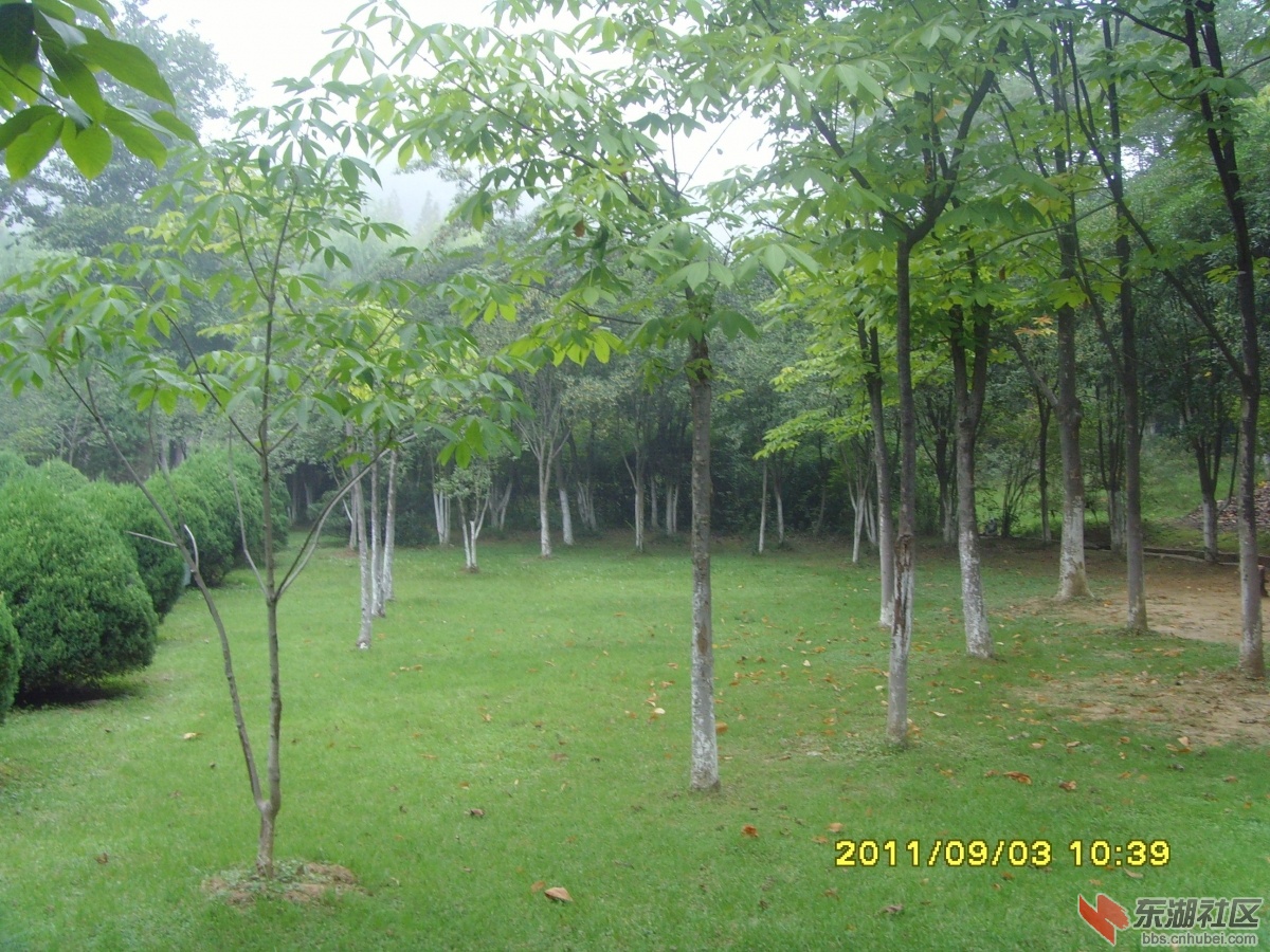 SNV33368.jpg
