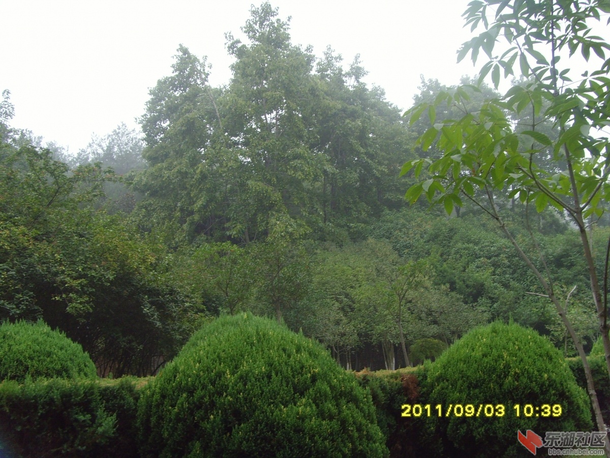 SNV33369.jpg