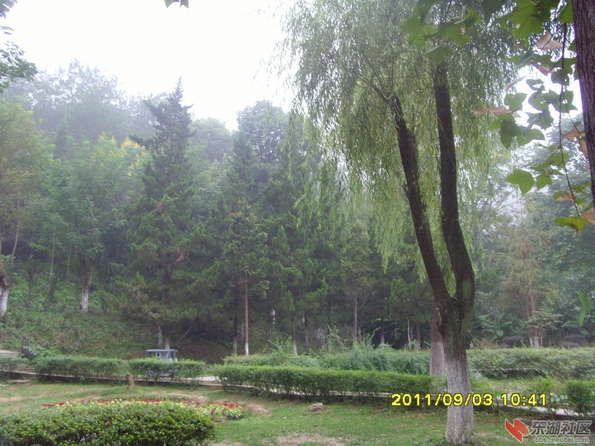 SNV33370.jpg
