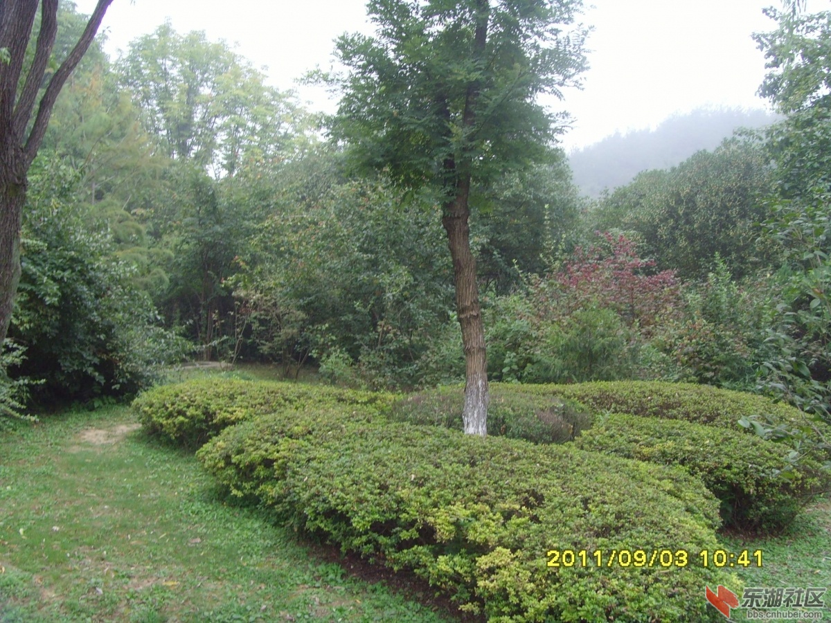 SNV33371.jpg