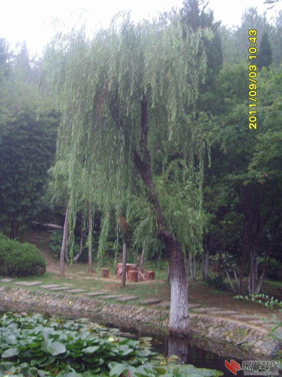 SNV33374.jpg