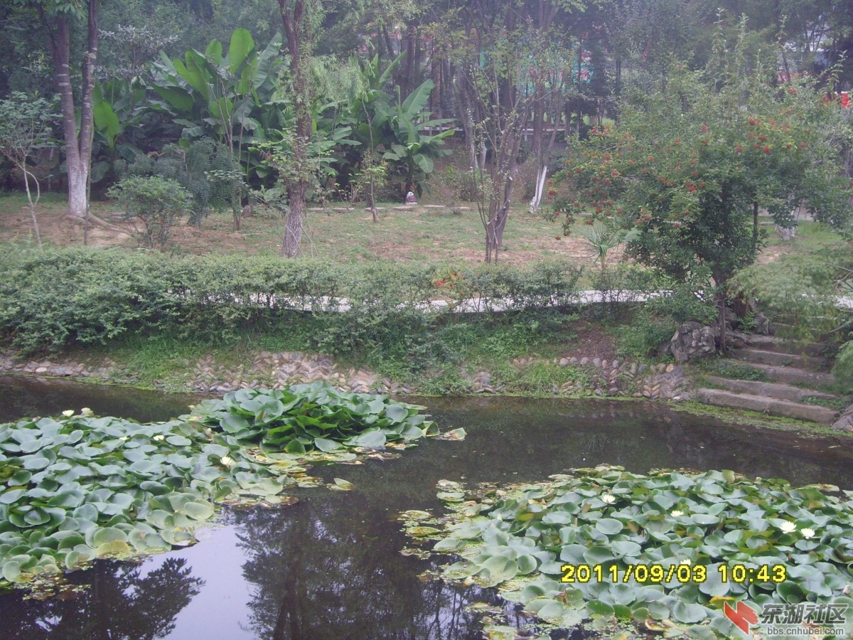 SNV33375.jpg