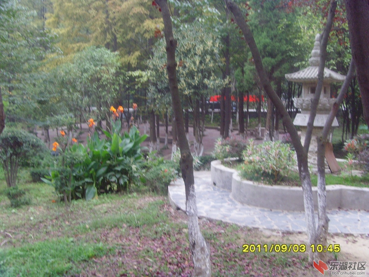 SNV33379.jpg