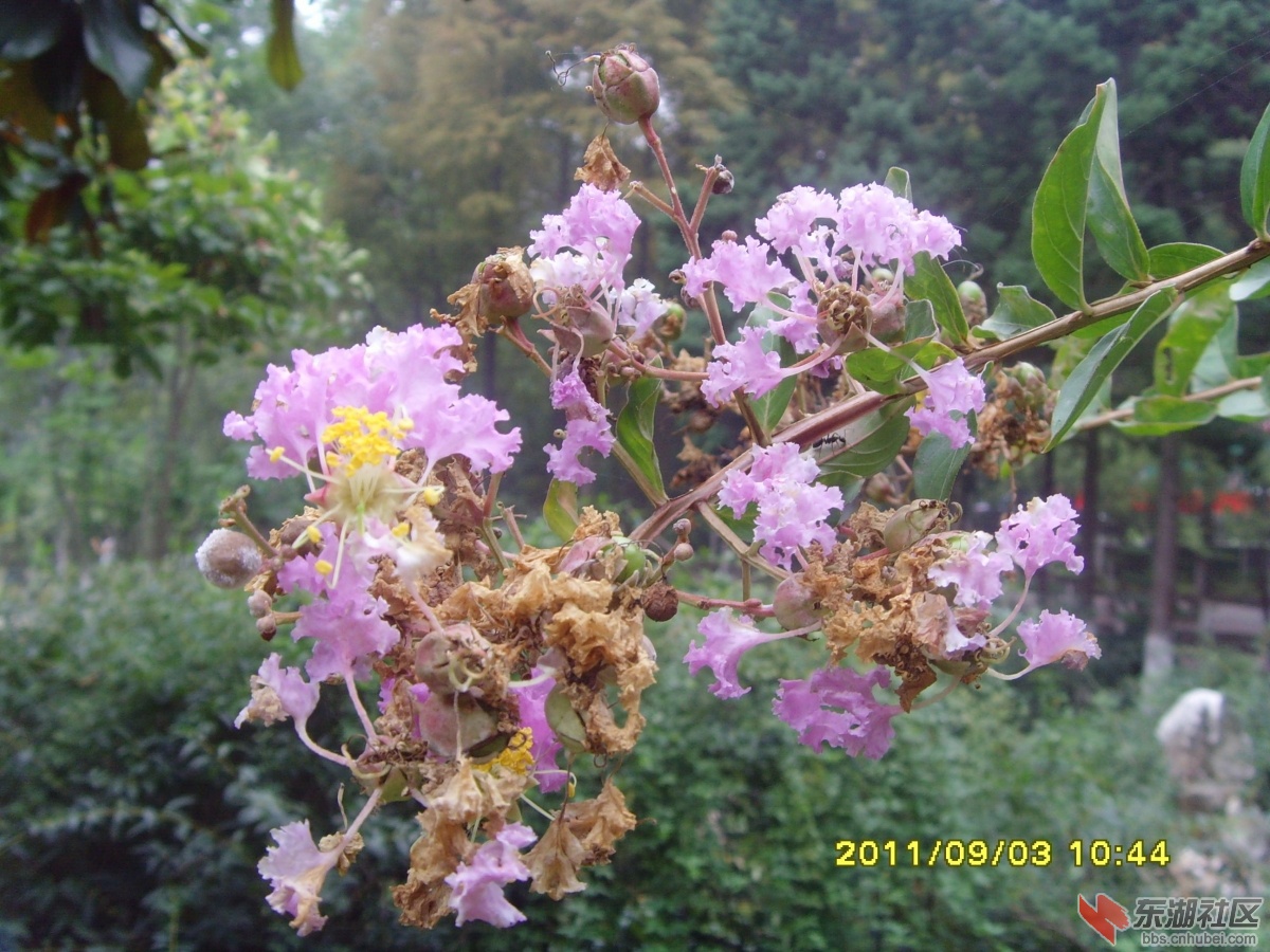 SNV33377.jpg