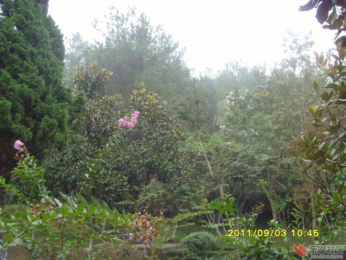 SNV33378.jpg