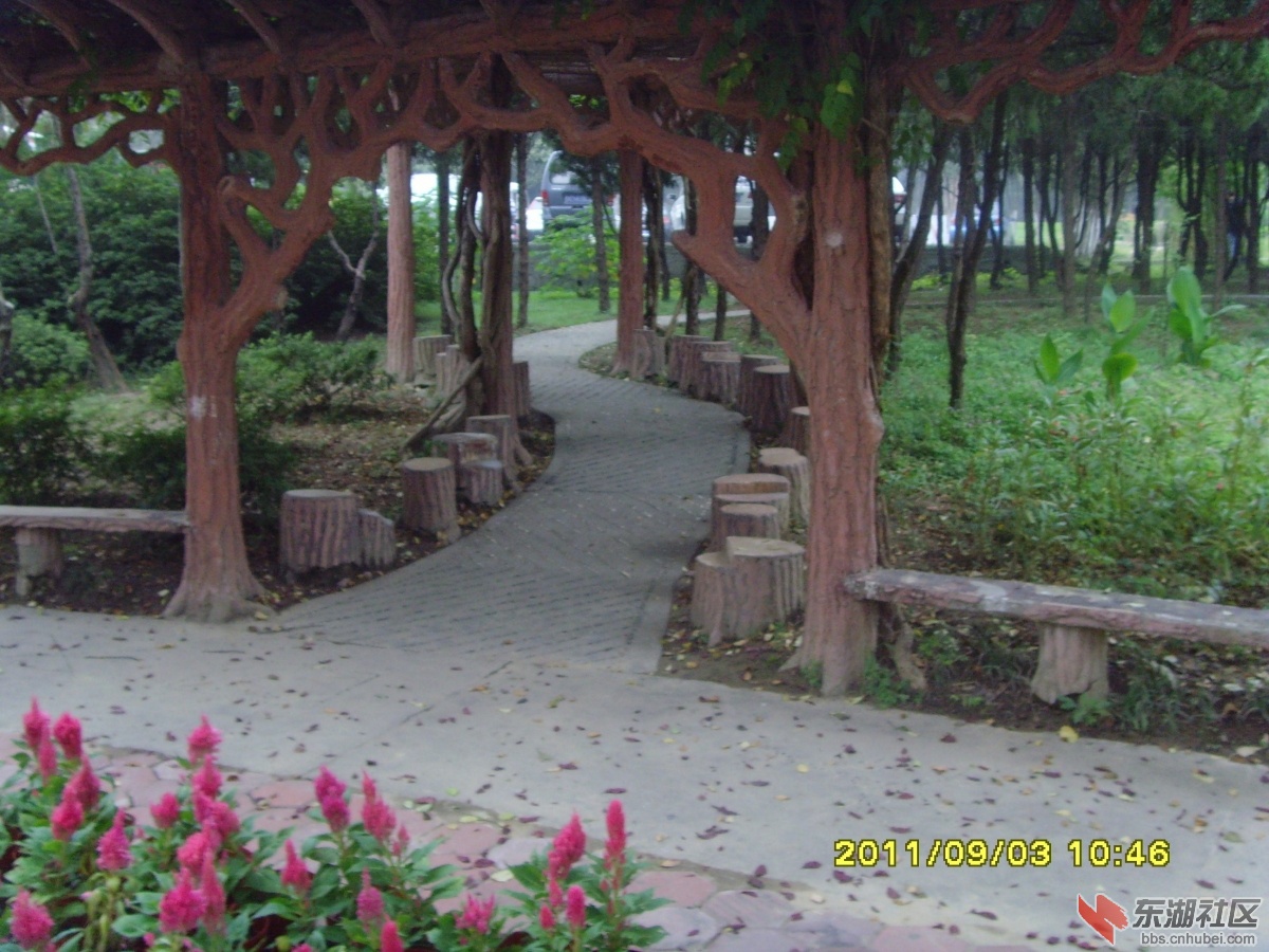 SNV33380.jpg