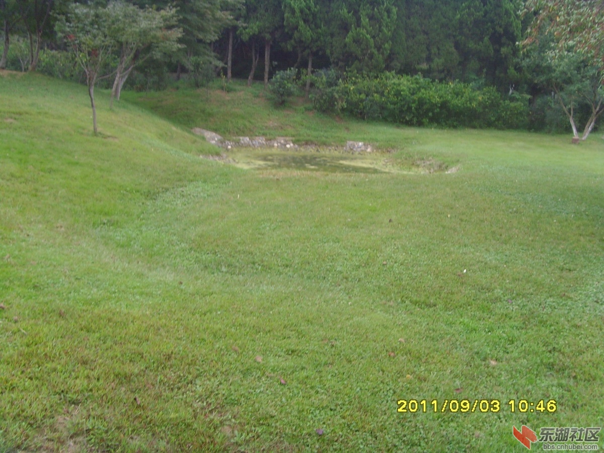SNV33381.jpg