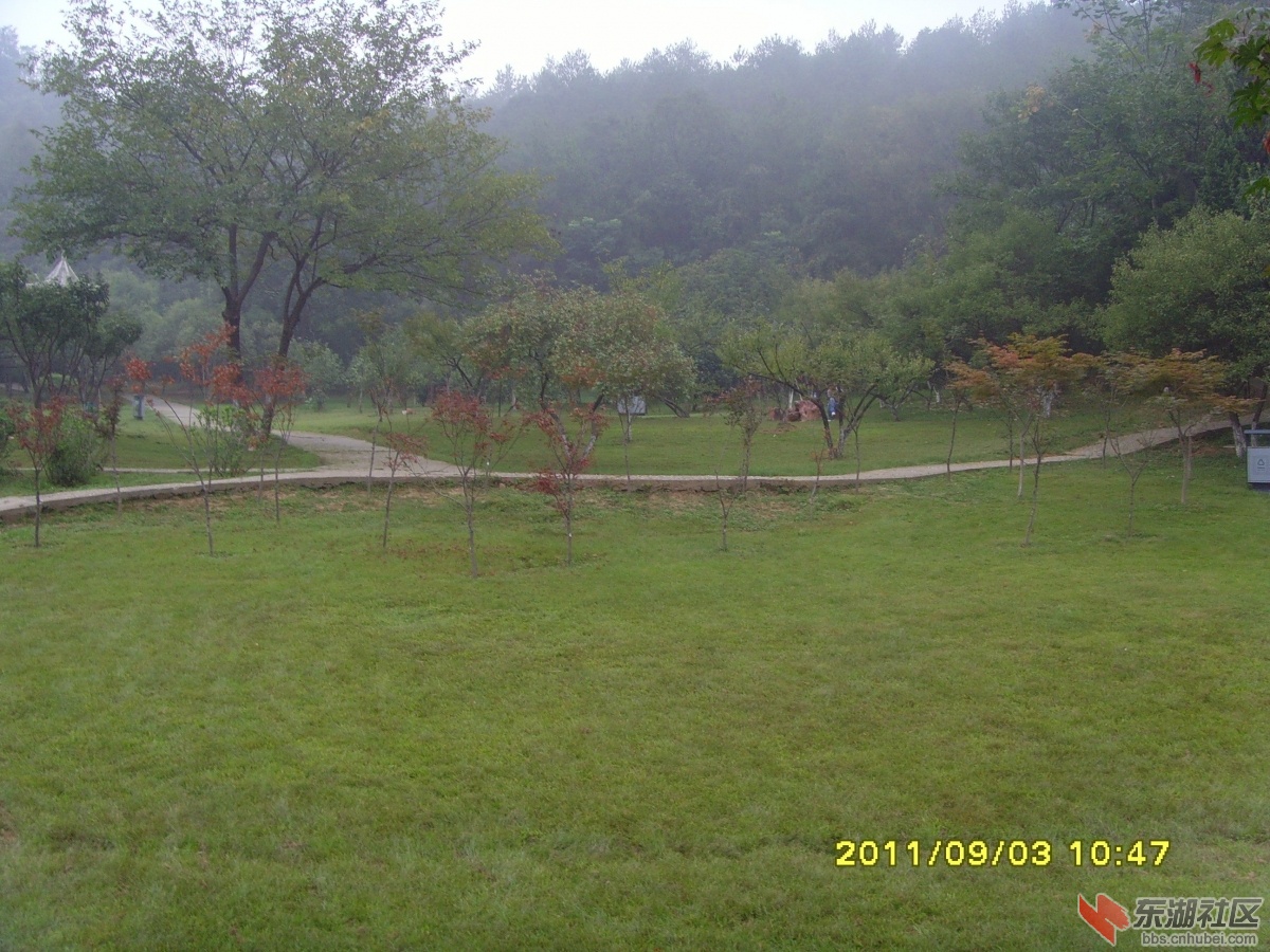 SNV33382.jpg