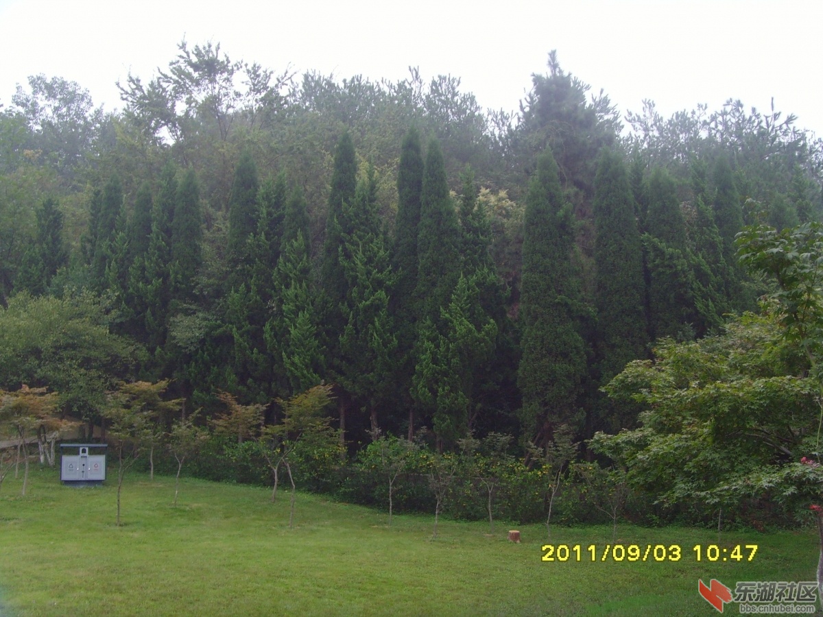 SNV33383.jpg