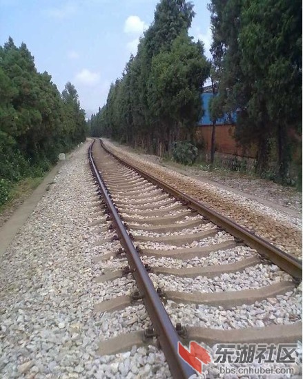 QQ截图未命名.jpg