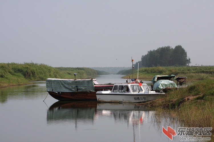IMG_4091.jpg