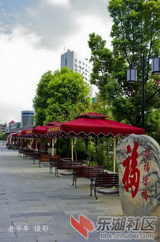 100928093537062e470011f698_缩小大小_缩小大小.jpg