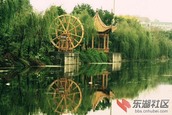 DSC03994_缩小大小_缩小大小.jpg