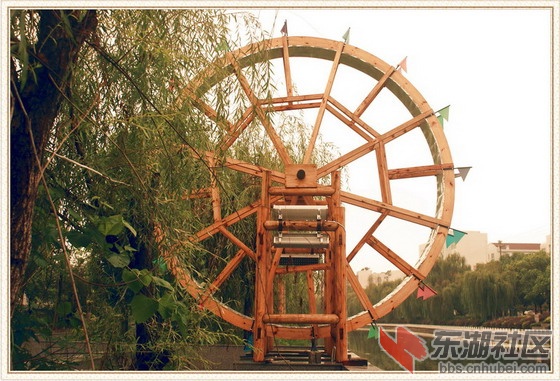DSC03981_副本_缩小大小_缩小大小.jpg