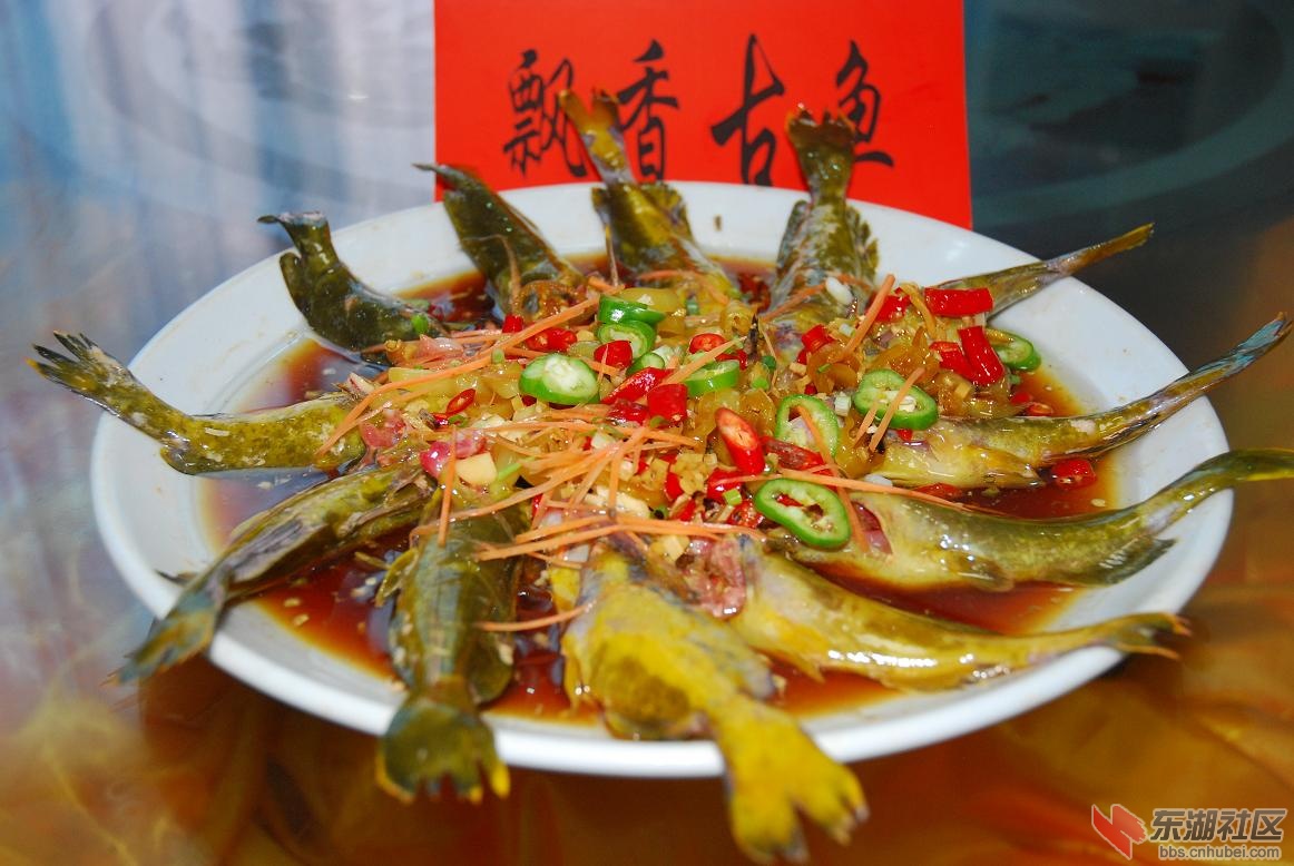 金龙4.JPG