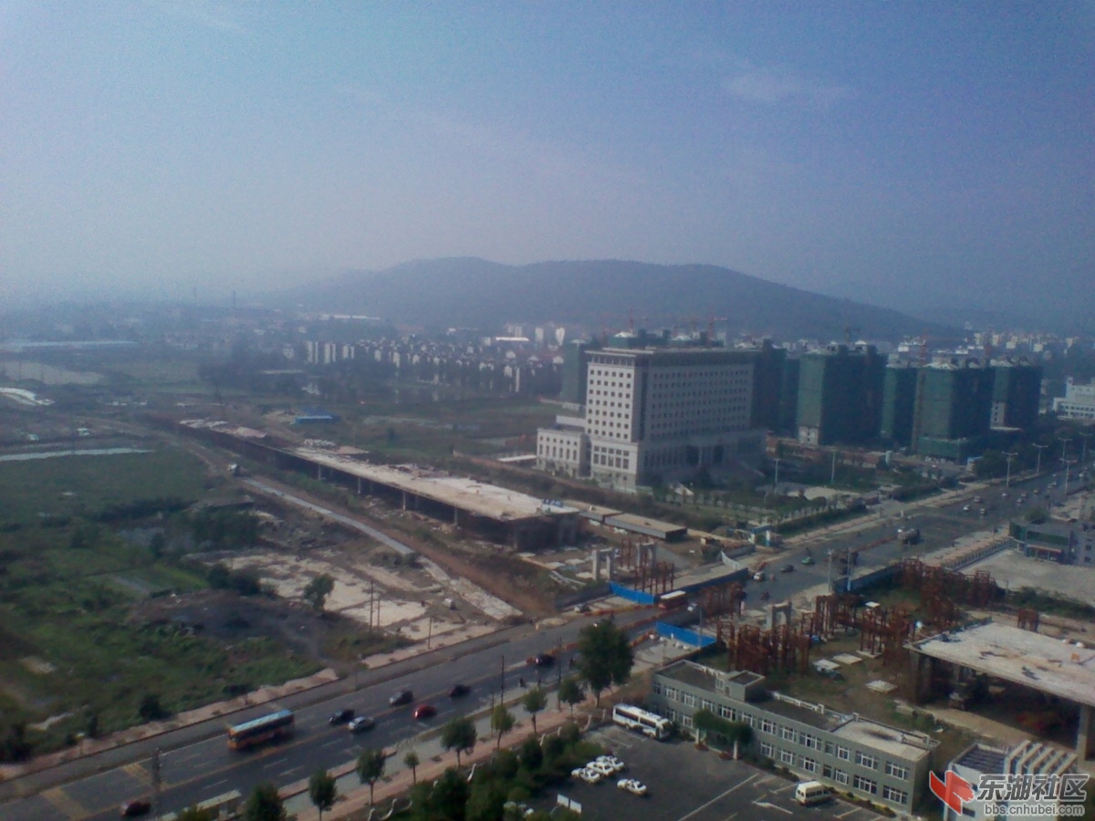 IMG_20111005_103359.jpg