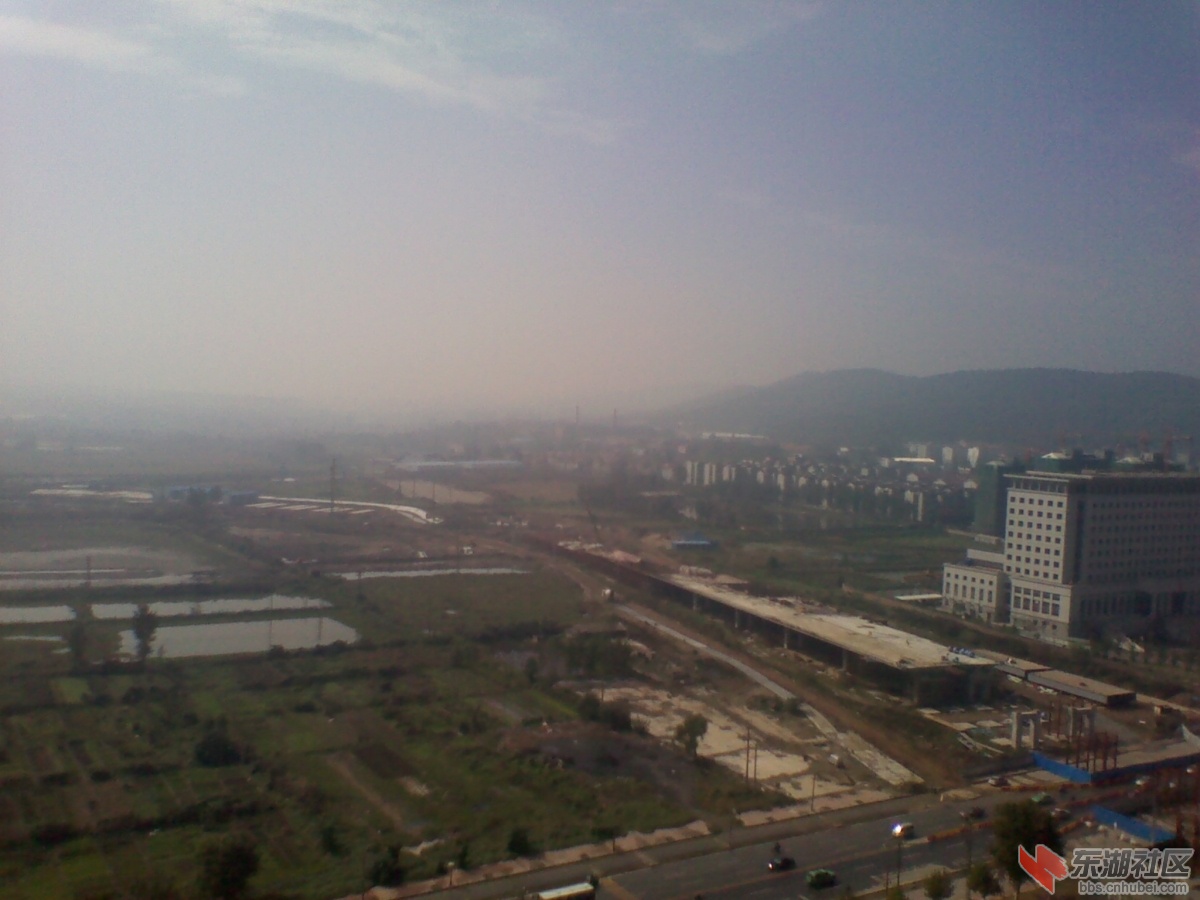 IMG_20111005_103412.jpg