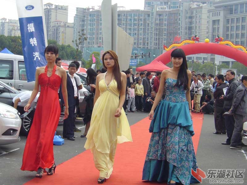 P1140569.jpg