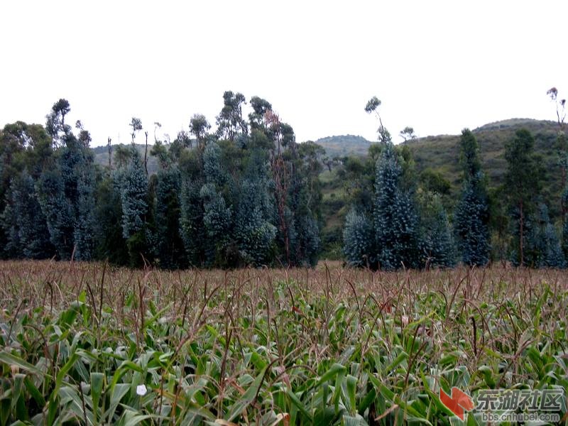 沿途风景 (4).jpg