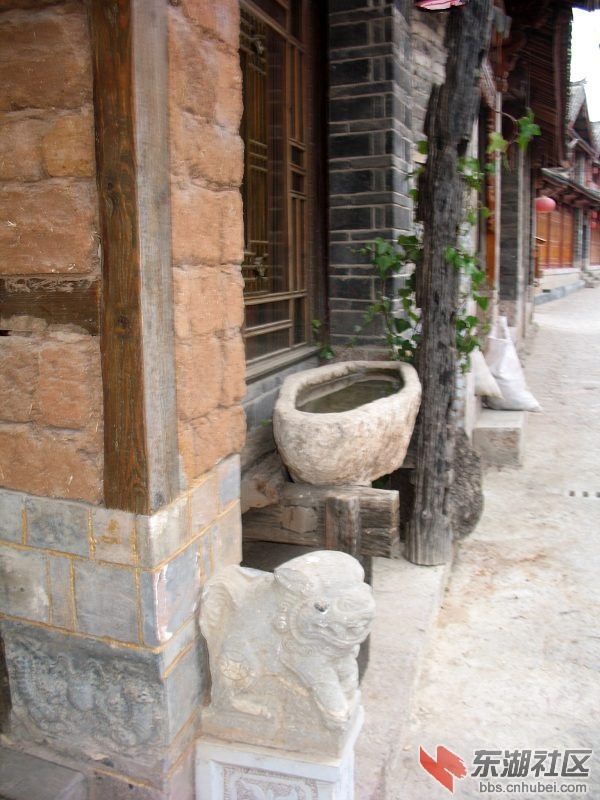 丽江早晨 (4).jpg