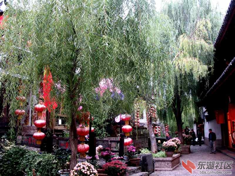 丽江早晨 (2).jpg